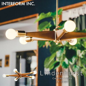 y_gCg Lindenhurst fn[Xg Ɩ C^[tH  k _CjO Q VƖ LEDΉ CeA Cg Vv H l炵 Q i` Vv