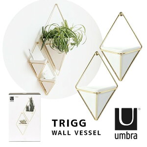 gbO EH[I[KiCU[ S 2pcs zCg Au Umbra v^[ A C[ [ CeA  EH[fR[V ǖ [  ϗtA Ǌ| EH[ C