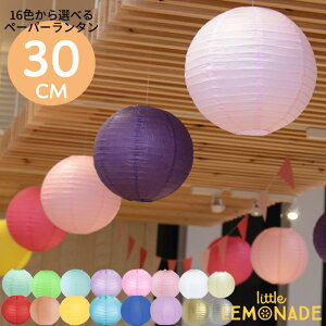 y[p[^ 30cm 傤    ^ 傤 EFfBO a p[eB[ Cxg Ղ ~ fBYvC  t 16FIׂ {[ ی^ ll