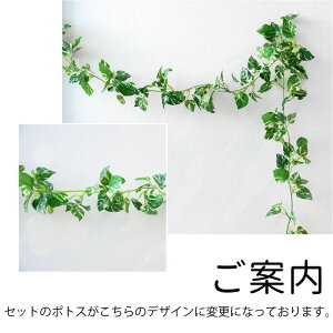 【メール便送料無料】ボタニカルバースデイデコレーションセットBOTANICALBIRTHDAYDECORATIONSETフェイクグリーン・数字バルーン・HBDガーランド誕生日ナチュラルnaturalナンバー風船壁飾りポトスHAPPYBIRTHDAY記念写真あす楽リトルレモネードLLS