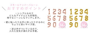 【メール便送料無料】BOTANICALBIRTHDAYDECORATIONSETフェイクグリーン・数字バルーン・HBDガーランドナンバー風船壁飾りバースデイデコレーションバナーバルーンHAPPYBIRTHDAY記念写真お家スタジオあす楽リトルレモネードLLS