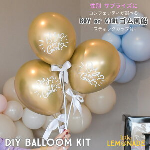 yDz Boy or Girl SD 2Zbg DIYLbg XeBbNJbvt IׂRtFbeB WF_[r[ gender reveal ʔ\ o[ xr[V[ baby shower SD N[