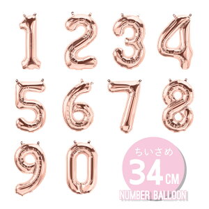 ̕D X[io[o[ 34cm [YS[h [։ âj̏t a o[ l o[XfC p[eB[ tBD tHgvbvX g