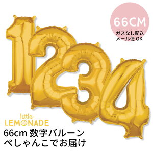 yKXȂ y[։zz60CM ~hTCỸio[o[ S[hy1 o[XfC a o[ l j  t  o[Xf[ tBD o[ balloon GOLDz 