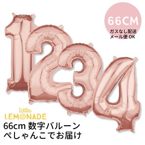 yKXȂ y[։zz60CM ~hTCỸio[o[ [YS[hy1 o[XfC a o[ l j  t  o[Xf[ tBD o[ balloon ROS