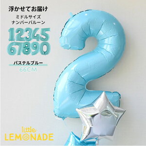 60CM io[o[ wEKXo[ pXeu[ ̕D ~hTCY 1 o[Xf[ j  t o[Xf[ tBD o[ balloon u[ gl[