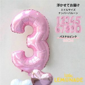 60CM io[o[ wEKXo[ pXesN ̕D ~hTCY 1 o[Xf[ j  t o[Xf[ tBD o[ balloon sN gl[