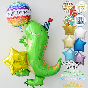 a o[  fBm}Cg TubZ[Wt X^[u[P wEKXo[  D balloon _Ci\[ eBmTEX p[eB[ o[d  g