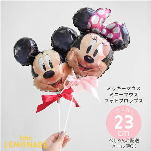 fBYj[ ~bL[}EX ~j[}EX tHgvbvX 炾 Be o[y΂甄z؂񂱂ł͂ fBYj[h ~bL[ ~j[  EFfBO a \