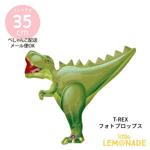 a o[  T-REX tHgvbvX bNXBe o[y؂񂱂ł͂zTbNX eBmTEX Cxg \ j Mtg balloon   gl[