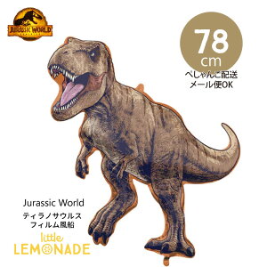 a o[  WVbN[h eBmTEX y؂񂱂ł͂z tBD KX 78cm KXȂ D T-REX j̎q _Ci\[ dinosaur p[eB[ ap[