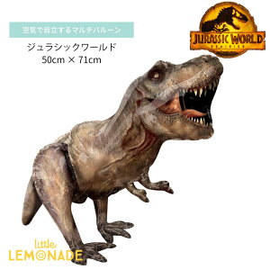 a o[   WVbN[h eBmTEX y؂񂱂ł͂ z tBD KX 50cm _Ci\[ dinosaur j̎q ap[eB[ Cxg p