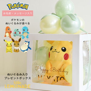 |P ʂ  v[g{bNX  |PbgX^[ o[Mtg o[AWg a j̎q o[ D o[d pokemon sJ`E C[uC 