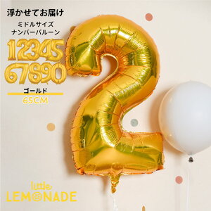 60CM io[o[ wEKXo[ S[h ̕D ~hTCY 1 a o[ l o[XfC j  t o[Xf[ tBD o[  