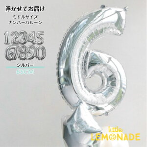 60CM io[o[ wEKXo[ Vo[ ̕D ~hTCY 1 a o[ l j  t  o[Xf[ tBD o[ balloon gl