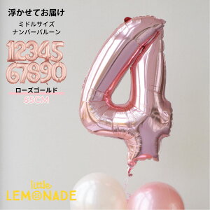 60CM io[o[ wEKXo[ [YS[h ̕D ~hTCY 1 a sNS[h o[ l j  t  o[Xf[ tBD o[