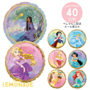 y؂񂱂ł͂zfBYj[vZX Disney Princess tBo[ 18C` tBD A[V AG I[P WX~ Vf x vcF P p[e