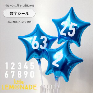 V[ ΂甄 1  2cm c4cm X|[cI̔wԍ   io[ wԍV[  zCg  XebJ[ DIY gl[h