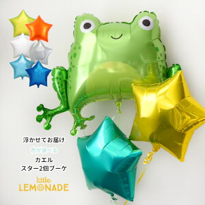 JGo[ X^[2tu[P wEKXo[ ̐FIׂ wEKX tbO Frog  ybg Happy Birthday a j Cxg p[eB[ t  