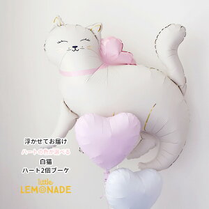 L o[ n[g2tu[P wEKXo[ n[g̐FIׂ wEKX lR Sg Ƀ{ D L Lbg CAT ybg  a p[eB[ o[Xf[ 