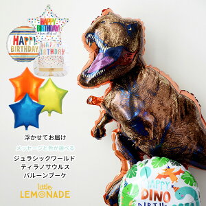  WVbN[h eBmTEX o[ 3u[P wEKX a o[Xf[bZ[Wo[E̐FIׂ D T-REX j̎q _Ci\[ dinosaur p[e