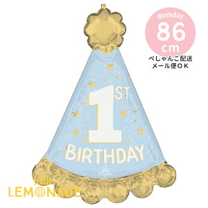 j̎q 1sto[Xf[nbg o[ y؂񂱂ł͂z 63×86cm KXȂ tBD Little Mister One-derful 1st Birthday j̎q 1 ߂Ă̒a o[Xf[ p[eB[ fR[V 