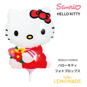 n[LeB̃tHgvbvX Be o[y΂甄z؂񂱂ł͂ TI LeB LeB HELLO KITTY t[u[P 킢  EFfBO a \ 