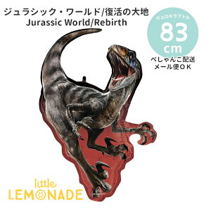  o[ WVbN[h ̑n y؂񂱂ł͂z KXȂ tBD a t p[eB[  D tBo[ Mtg v[g j̎q F