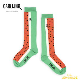 【CarlijnQ】 Watermelon - knee socks【1-2歳・2-4歳・4-6歳】 すいかデザイン ソックス (SS24-SCK113) 靴下 ベビー服 子ども服 むすめ服 WHAT I LIKE カーラインク 海外子ども服 リトルレモネード KTZ