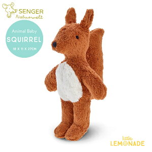 Senger Naturwelt [K[i`EFg Animal Baby Squirrel X uE (Y21917) ʂ v[g oYj Mtg t@[XggC Ki gl[h Lnw