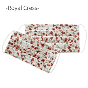 ygarbo&friendsztFCX}XN/ǂp Face Mask Junior 1 qp z}XN K{AhtY ԕ } {^jJ Rbg100%@ gl[h SALED@300