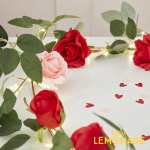 yGinger Rayz [YK[h Cgt tFCNO[ o KN   t A[eBtBVt[ Foliage Garland - Rose Garland With String Light C[Cg o^C 