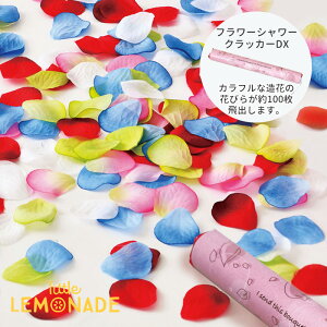 t[V[ fbNX NbJ[ Jt  Ԃт oʗpNbJ[ EFfBO I a p[eB[ Cxg bh sN u[ CG[ zCg 5F~bN