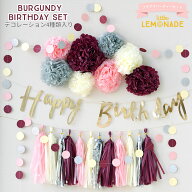 プチプラ パーティーセット バーガンディxピンクxアイボリーxシルバー バースデイ 4点セット HAPPY BIRTH…