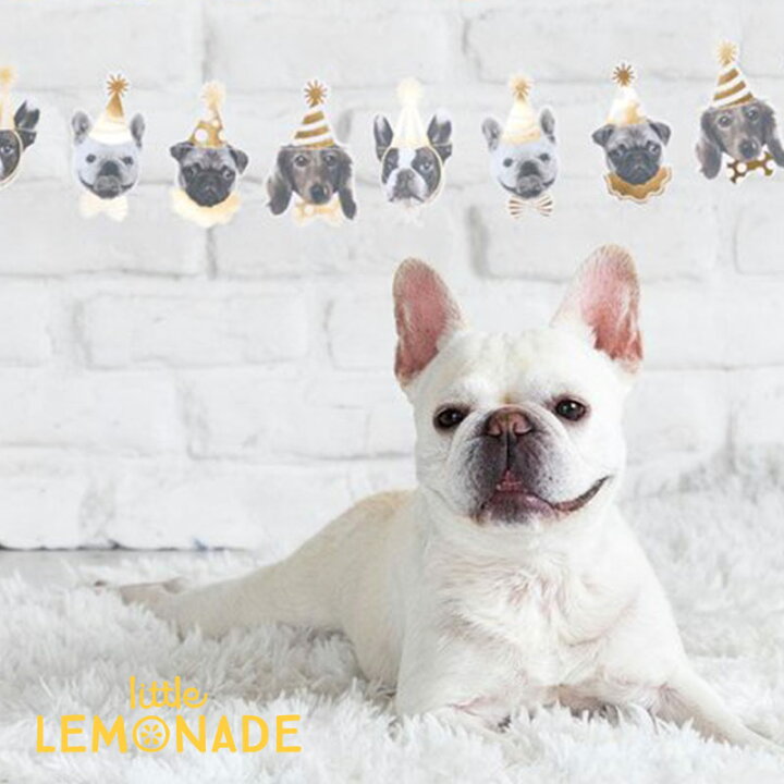 楽天市場 My Mind S Eye ドッグ バナー Dog Banner 犬のガーランド 犬の誕生日 Dog S Birthday バナー バースデー バースデイ ガーランド デコレーション ワンちゃん 写真 撮影 装飾 ペット 壁 飾り 飾り付け お祝い あす楽 リトルレモネード リトルレモネード楽天 楽天市場 My Mind S Eye ドッグ バナー Dog Banner 犬のガーランド 犬の誕生日 Dog S Birthday バナー バースデー バースデイ ガーランド デコレーション ワンちゃん 写真 撮影 装飾 ペット 壁 飾り 飾り付け お祝い あす楽 リトルレモネード リトルレモネード楽天