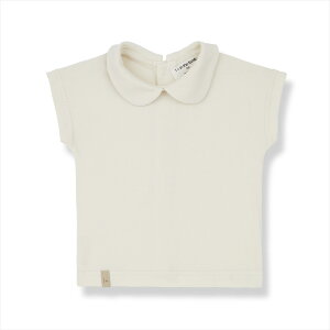 y1+ in the familyzLUNA s.sleeve collar blouse | IVORY y6z ݕt gbvX AC{[ ۋ  tH[} oY ACUt@~[ COqǂ gl[h Ap