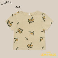オーガニックズーOlive Garden Classic T-Shirt (1-2歳/2-3歳/3-4歳/4-5歳) organic zoo 半袖 Tシャツ オ…