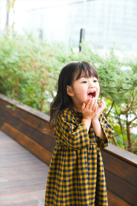 楽天市場】【organic zoo】 Blueberry Gingham Gather Dress 【1-2歳 