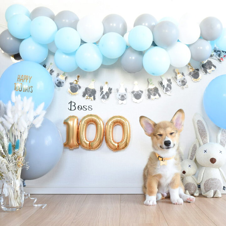 楽天市場 My Mind S Eye ドッグ バナー Dog Banner 犬のガーランド 犬の誕生日 Dog S Birthday バナー バースデー バースデイ ガーランド デコレーション ワンちゃん 写真 撮影 装飾 ペット 壁 飾り 飾り付け お祝い あす楽 リトルレモネード リトルレモネード楽天 楽天市場 My Mind S Eye ドッグ バナー Dog Banner 犬のガーランド 犬の誕生日 Dog S Birthday バナー バースデー バースデイ ガーランド デコレーション ワンちゃん 写真 撮影 装飾 ペット 壁 飾り 飾り付け お祝い あす楽 リトルレモネード リトルレモネード楽天