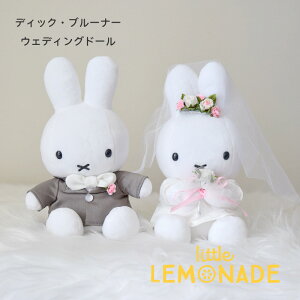 ~btB[̃EFJh[ EGfBOhXƃ^LV[h fBbNEu[i EGfBOh[imj ʂ MIFFY 󂯕t EFJXy[X   EGfBO 