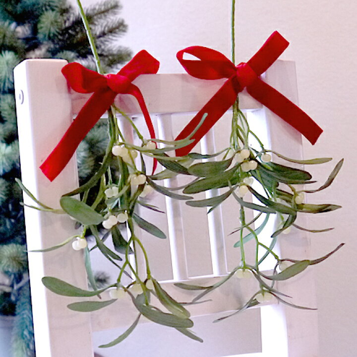 楽天市場 Mistletoe ヤドリギ ベルベットリボンセット 宿り木 やどりぎメール便0円発送可能 Christmas クリスマスオーナメント 普段着のクリスマス 最大0円クリスマスクーポン配布中 りとるまみい 木のおもちゃ雑貨