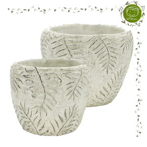 yGARDENFLOWERzZgAؔEV_