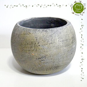 yGARDENFLOWERzAؔEAeB[NEh|bgEubN