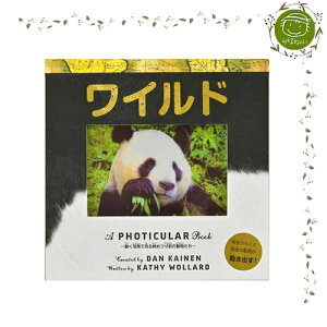 yʐ^IG{zCh FWILD FOTICULAR