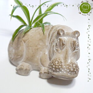 yGARDENFLOWERzZgK[fIuWFE