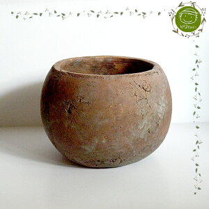 yGARDENFLOWERzAؔEAeB[NEh|bgEuE