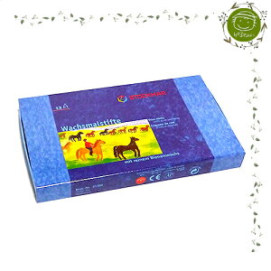 ɓĂSȎRfށByStocmarFVgbN}[zXeBbNN12FwjW