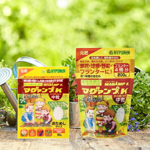 yGARDENFLOWERzynC|lbNXWpz}O@vKE200g