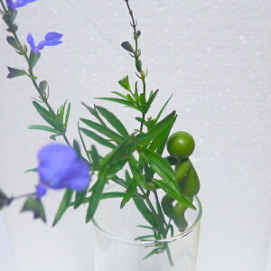 yINTERIOREChAO[z݂ǂ̏lEO[{[C