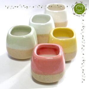 yGARDENFLOWEREPLANTERz~jAؔEJt